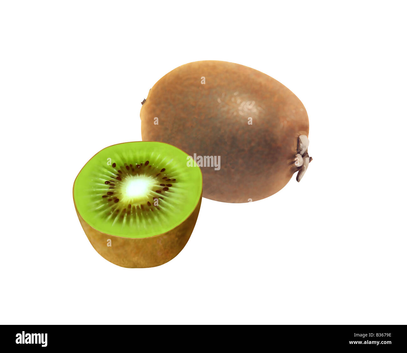 Kiwi fruit illustration hi-res stock photography and images - Alamy