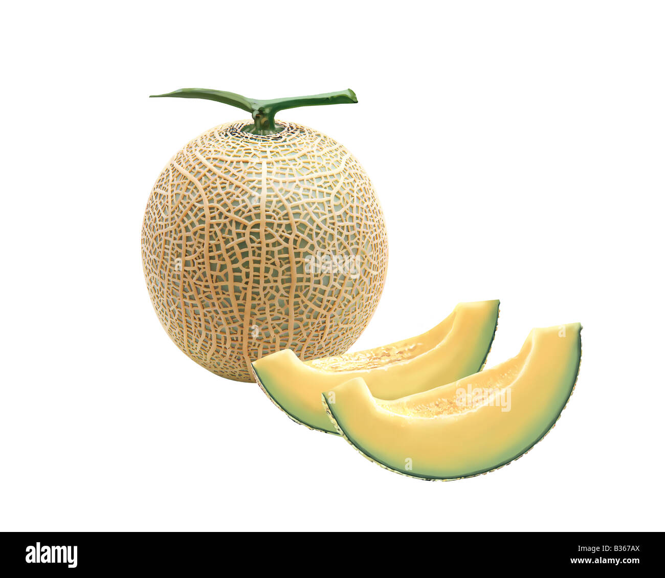 Whole muskmelon and slice of muskmelon Stock Photo Alamy