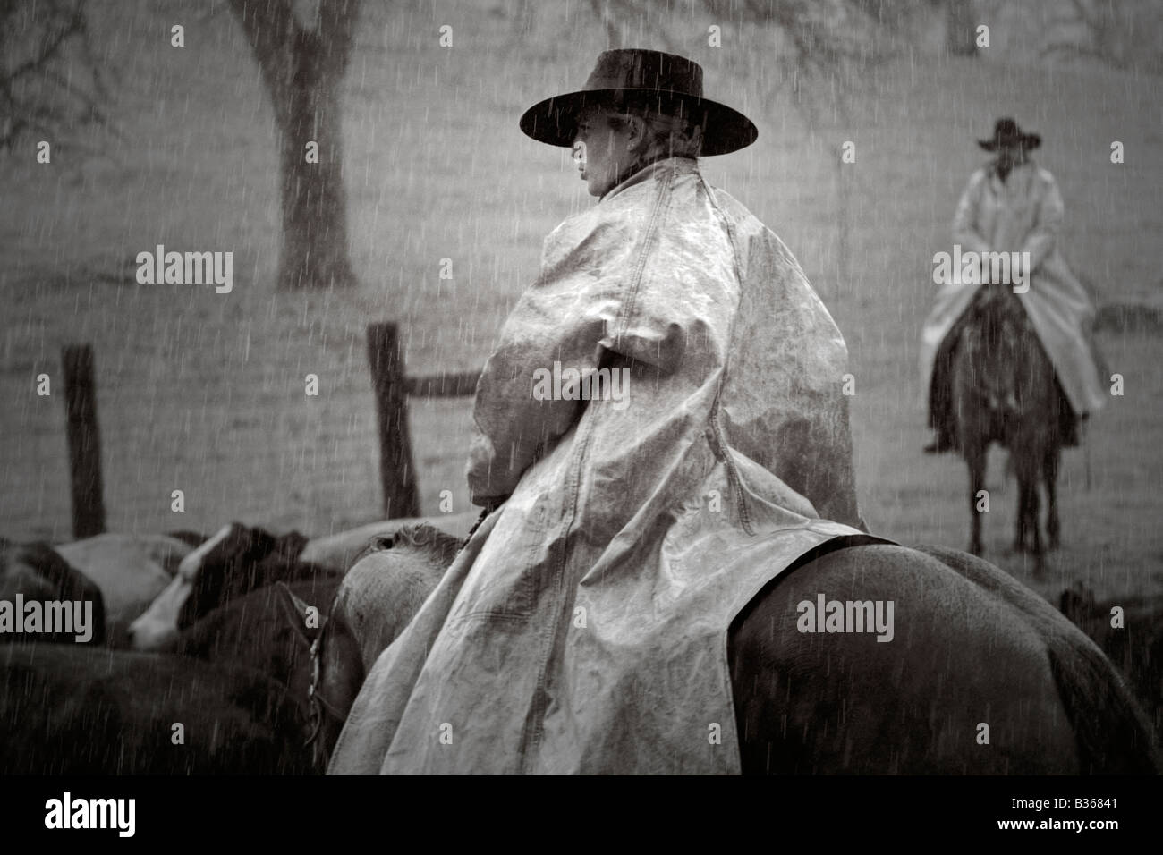 Three cowboys on horseback hires stock photography and images Alamy