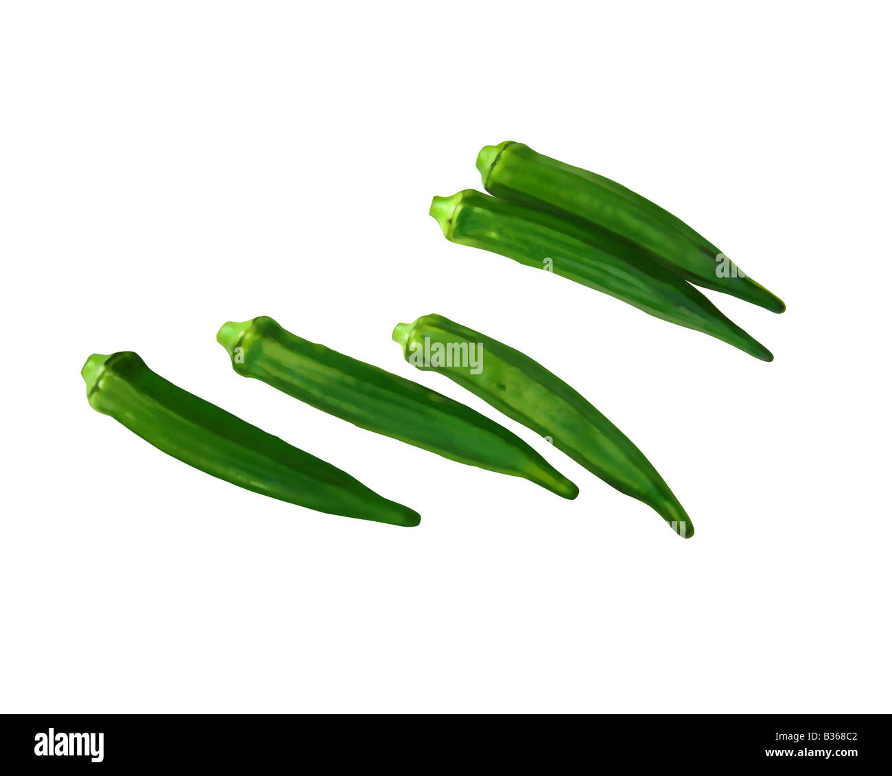 Okra illustration Cut Out Stock Images & Pictures Alamy