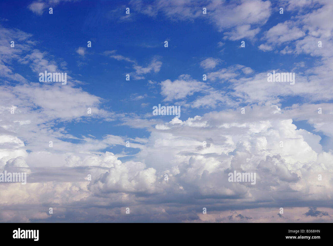 Gathering summer Cumulus clouds Stock Photo