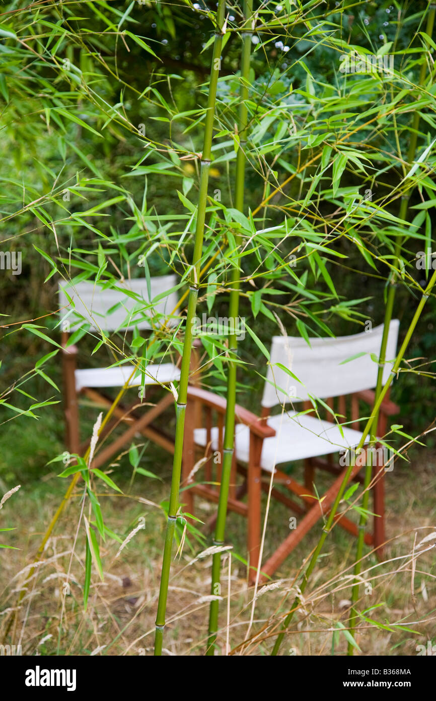 Bamboo used to screen secluded seating area in a garden Stock Photo