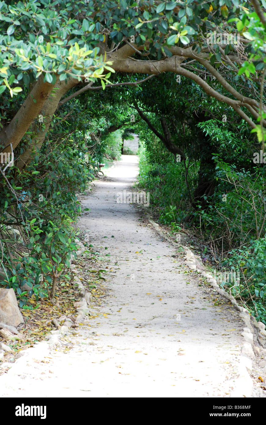 QUIET PATH THROUGH WOODED COUNTRYSIDE Stock Photo