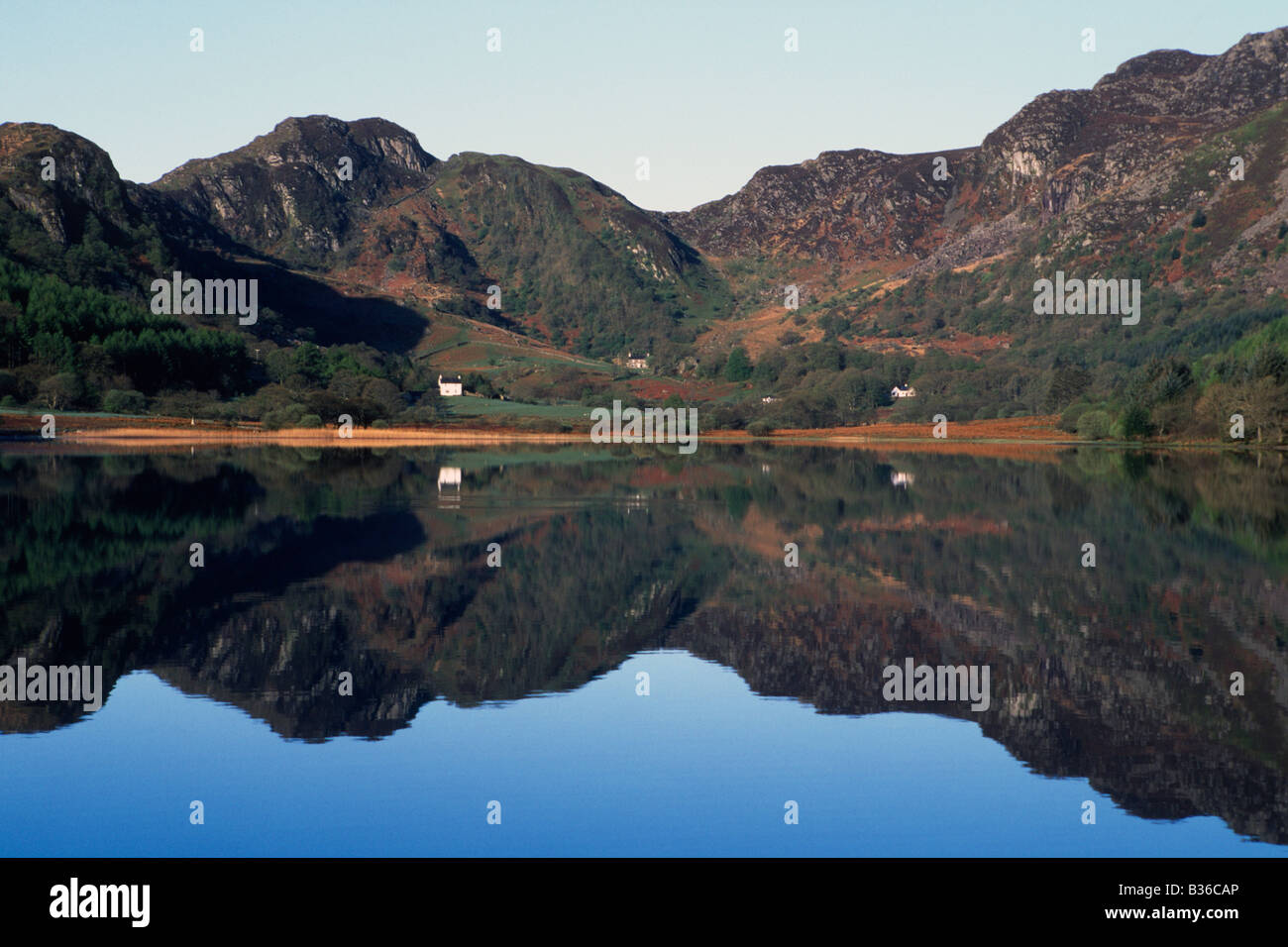 Early morning reflections in Llyn Crafnant Snowdonia Stock Photo