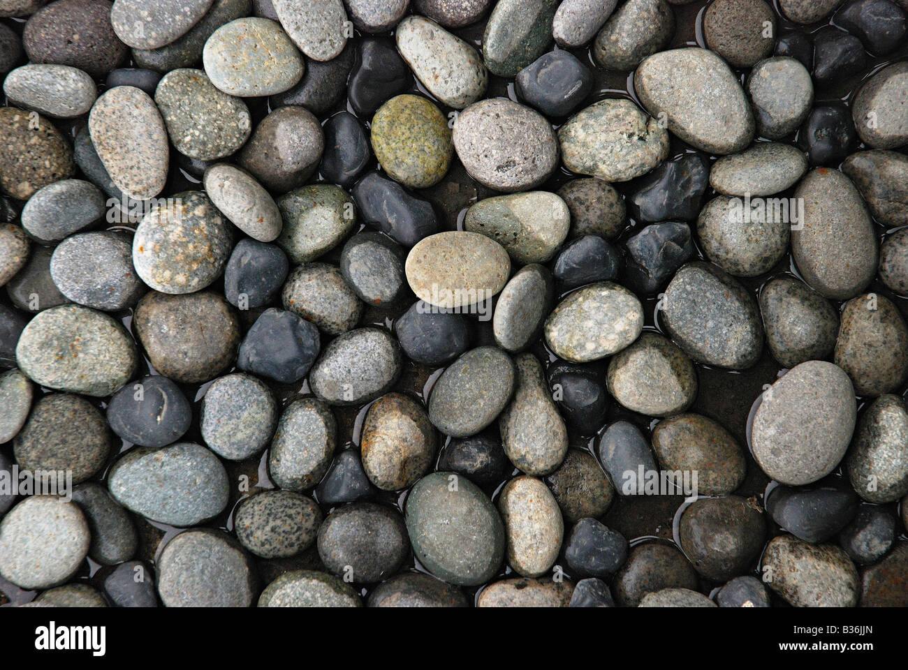 A pebble is a clast of rock with a particle size of 4 to 64 millimeters based on the Krumbein phi scale of sedimentology. Stock Photo
