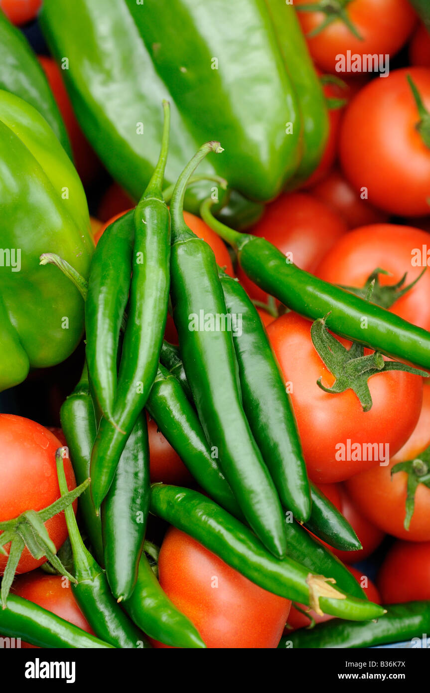 Close up shot of home grown greenhouse harvest of Sweet peppers chili peppers and tomatoes UK