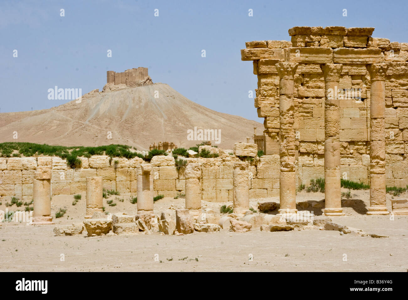 The Roman Agora and Arab Castle Qalaat Ibn Maan in Palmyra Syria Stock Photo