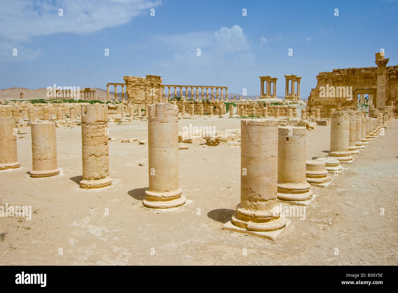 Ancient Roman Agora at Palmyra in Syria Stock Photo