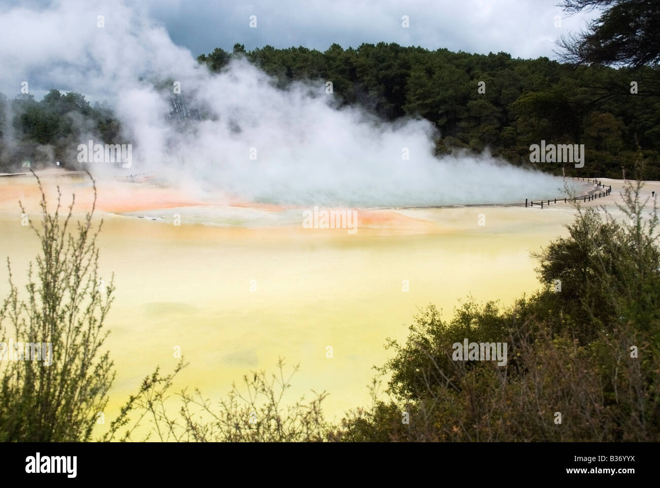 A view of the steaming Champagne Pool in Wai-O-Tapu thermal park, Rotorua, New Zealand Stock Photo