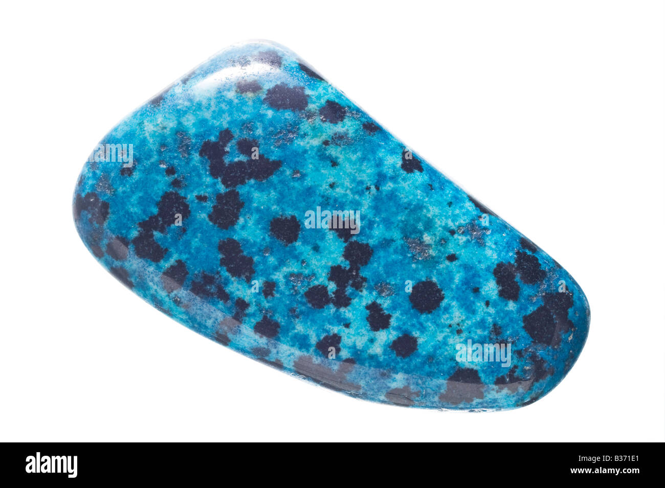 Dalmation jasper blue hi-res stock photography and images - Alamy