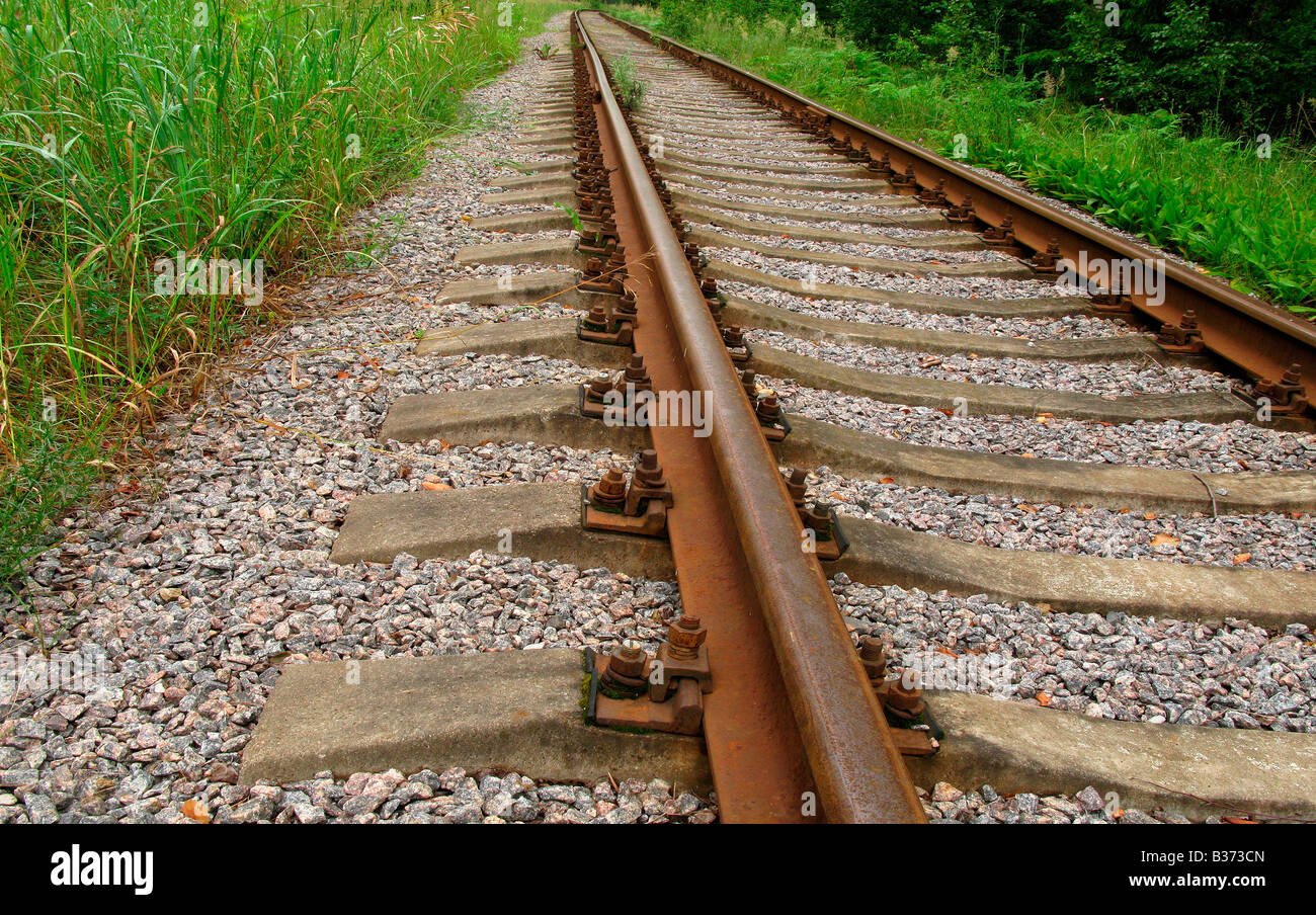 Why the railway track in Russia is wider than in Europe, justify the answer Why the railway track in Russia is wider than in Europe, justify the answer