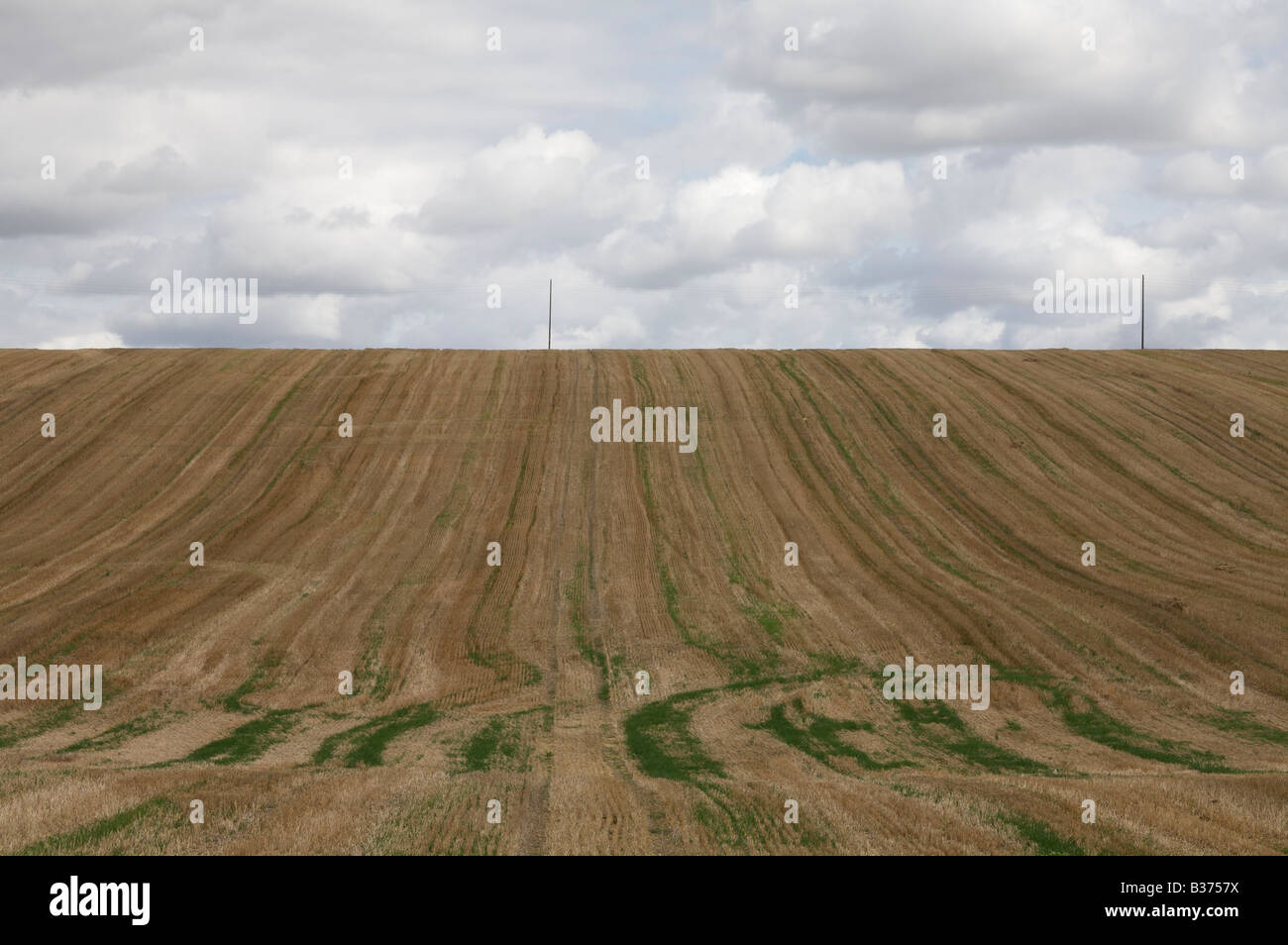 a field under a cloudy sky Stock Photo