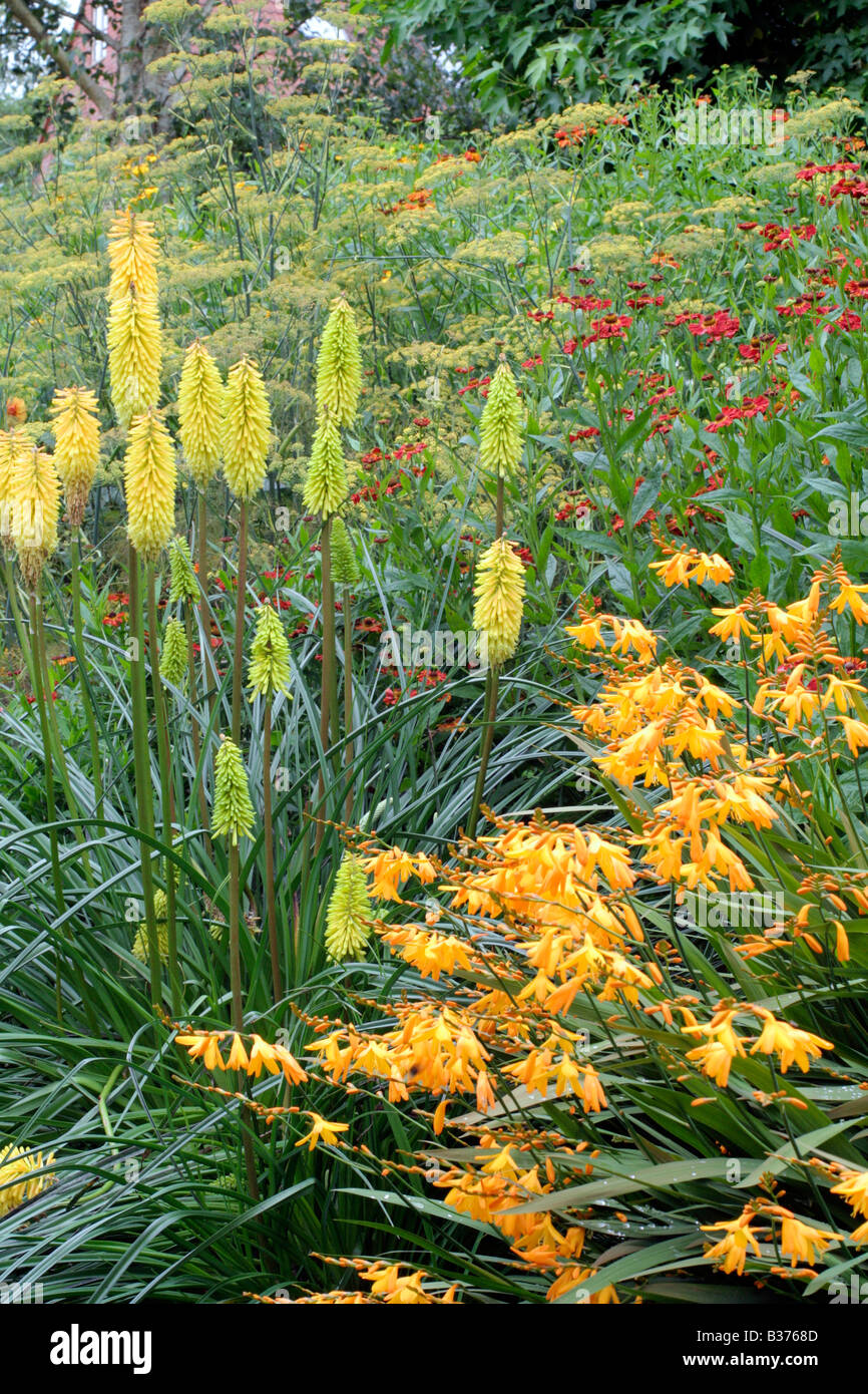 MID AUGUST THE HOT BORDER AT HOLBROOK DEVON Stock Photo