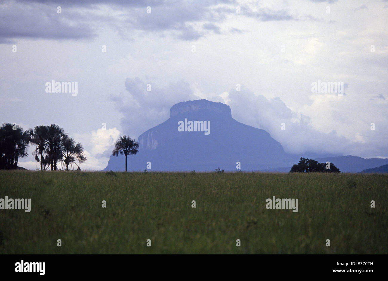 A view of Tepuis tipuis or rain forest mesas in the Gran Sabana of Bolivar State in Venezuela Stock Photo