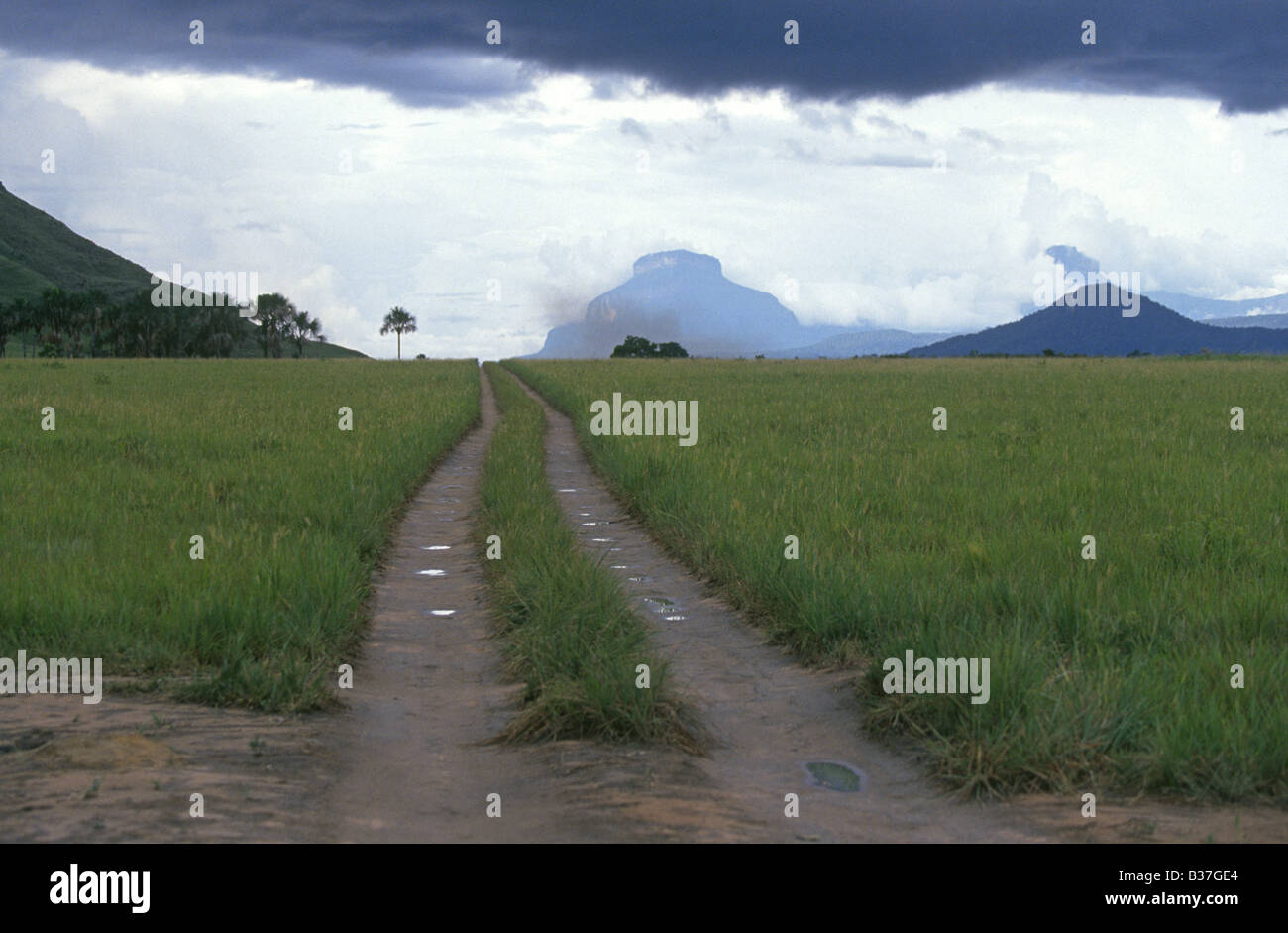 A wet muddy dirt road leads to a Pemon Indian village in the Gran Sabana region in Bolivar State in Venezuela Stock Photo