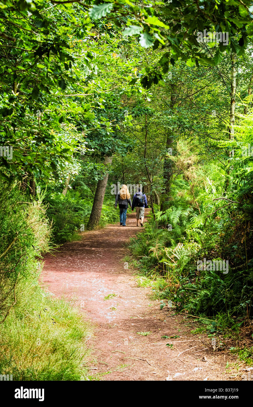 Couple walking along a forest path, pathway trail in woods at Broceliande forest, Ille et Vilaine, Brittany, France, Europe Stock Photo