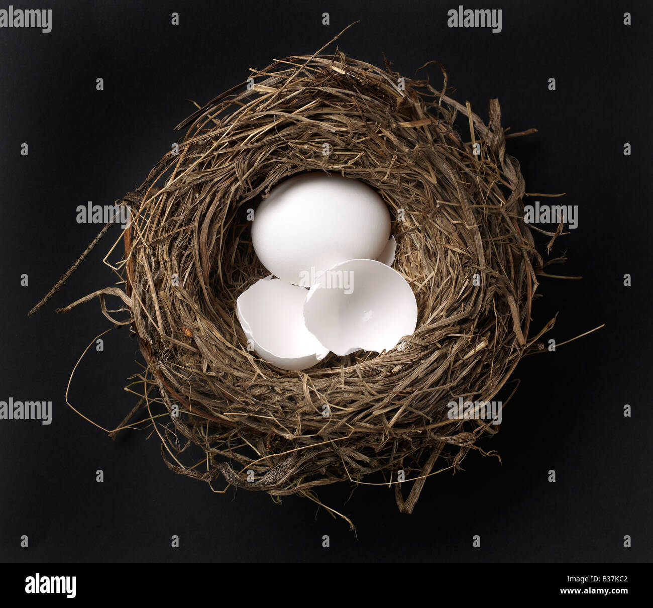 Broken egg nest hires stock photography and images Alamy