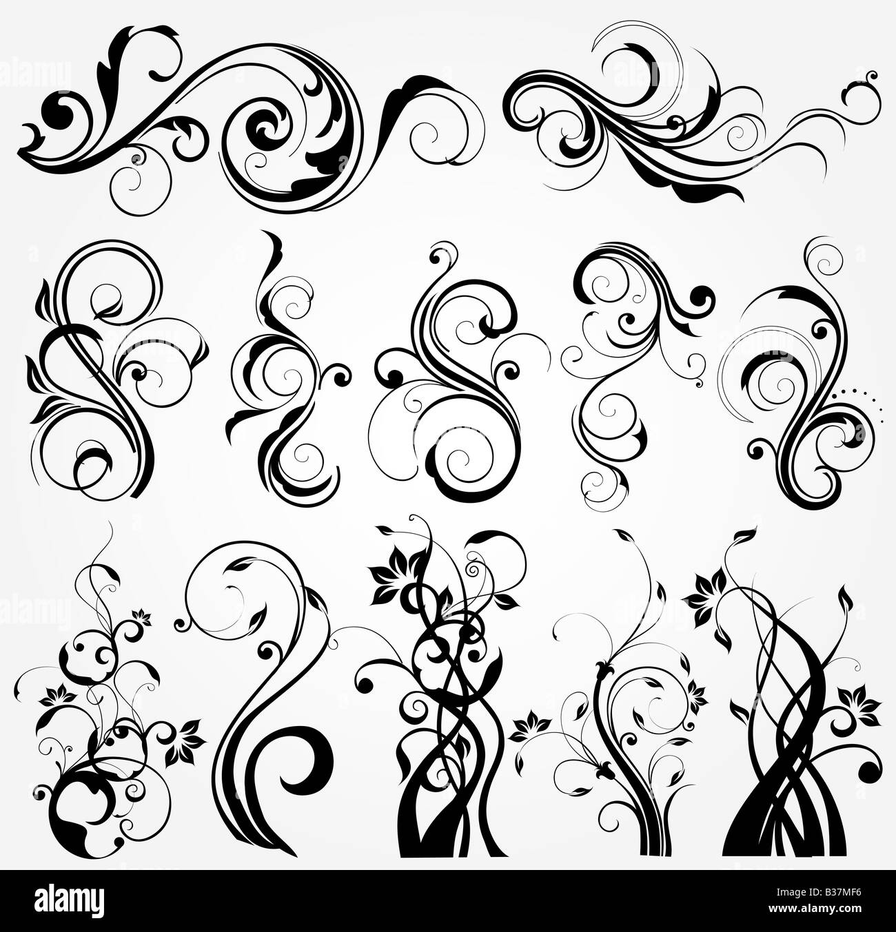 illustration drawing of floral design elements Stock Photo Alamy