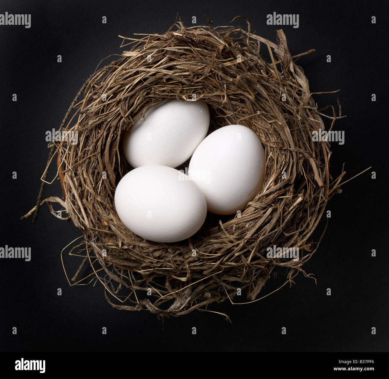Isolated birds nest with three eggs hi-res stock photography and images ...