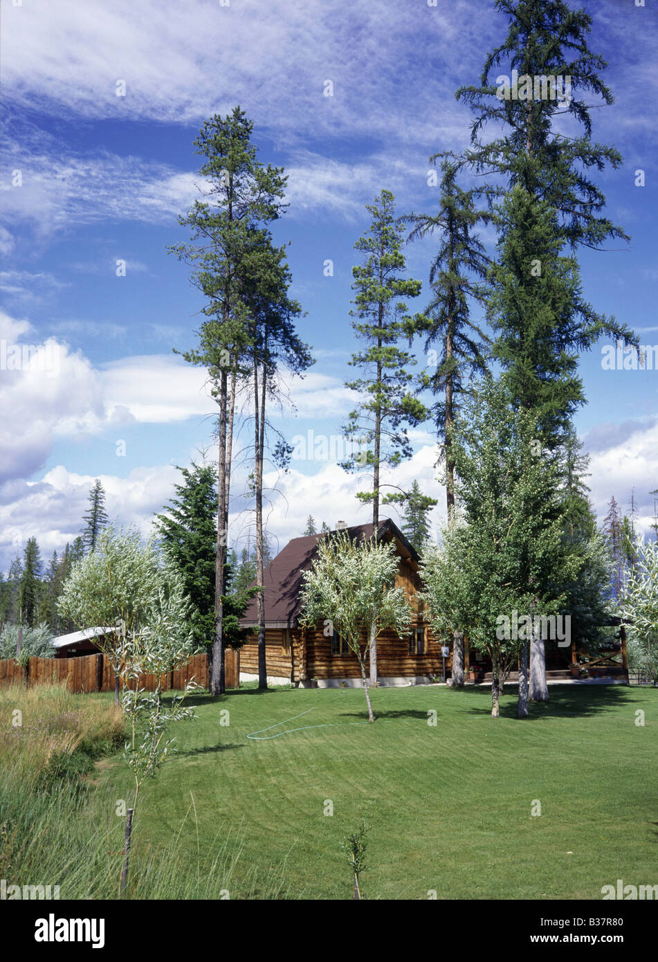Log house in trees Steep pitched roof Lawn Hosepipe KIMBERLEY BRITISH COLUMBIA CANADA Stock Photo