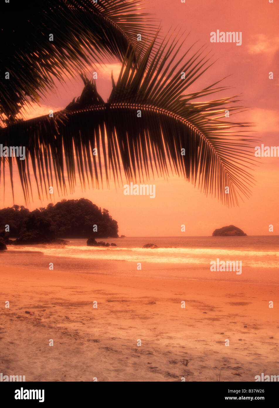 Manuel Antonio Pk Quepos Stock Photo Alamy