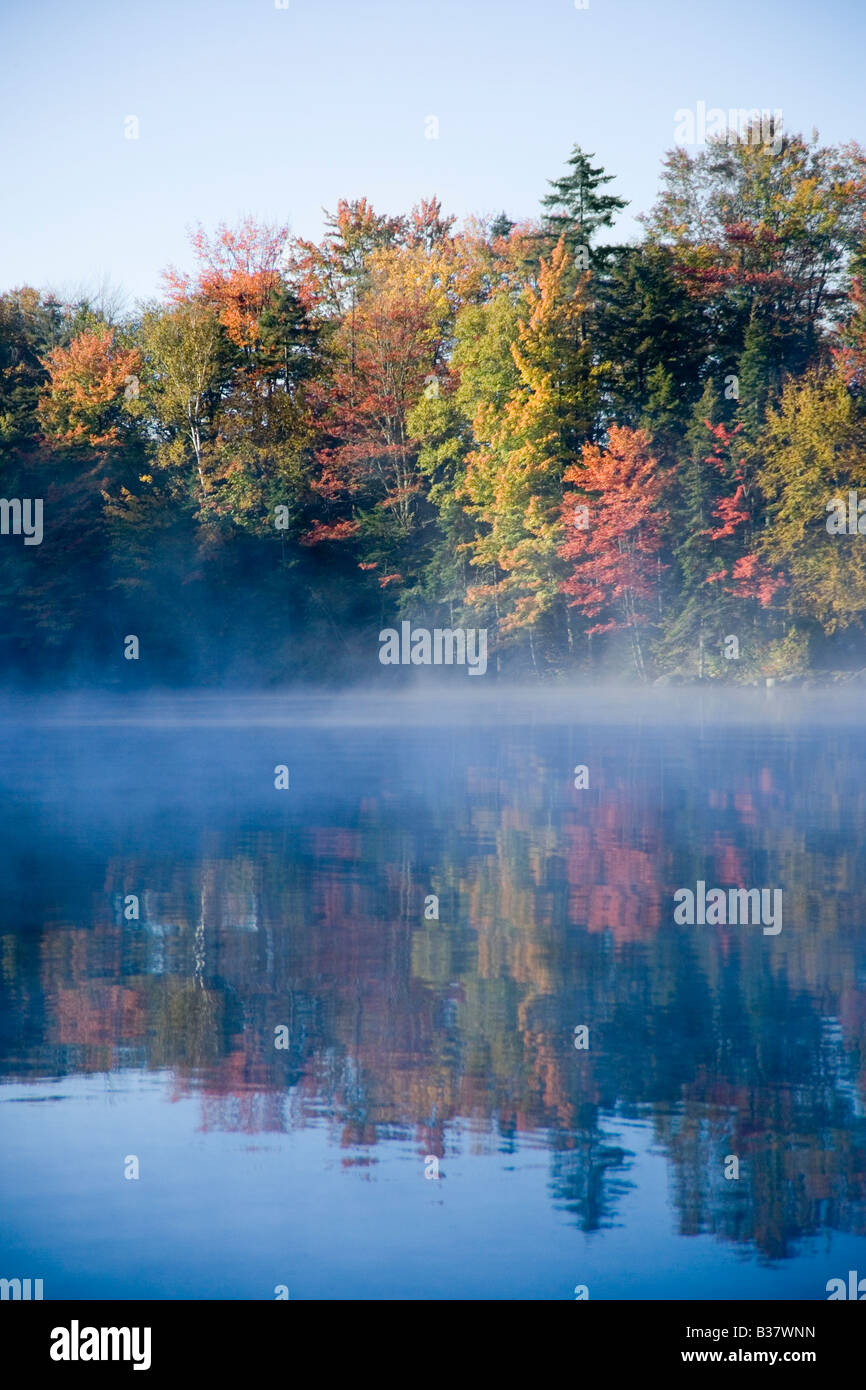 Trees reflected on lake Stock Photo - Alamy