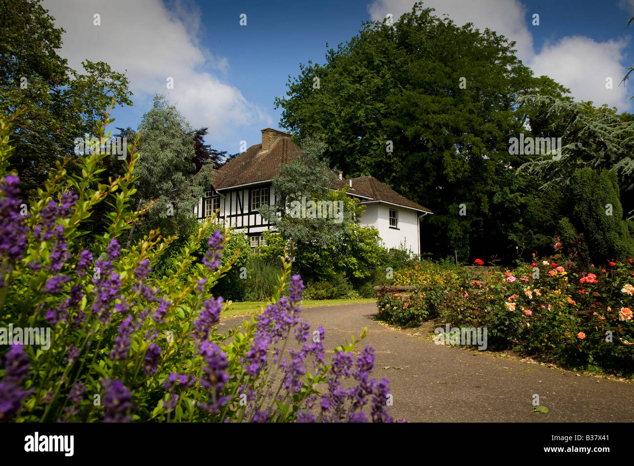 The Cathedral Gardens in Peterborough in Cambridgeshire Stock Photo Alamy