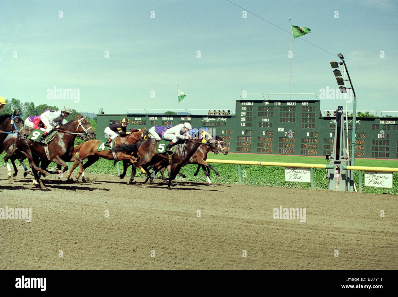Horse racing photo finish hi-res stock photography and images - Alamy