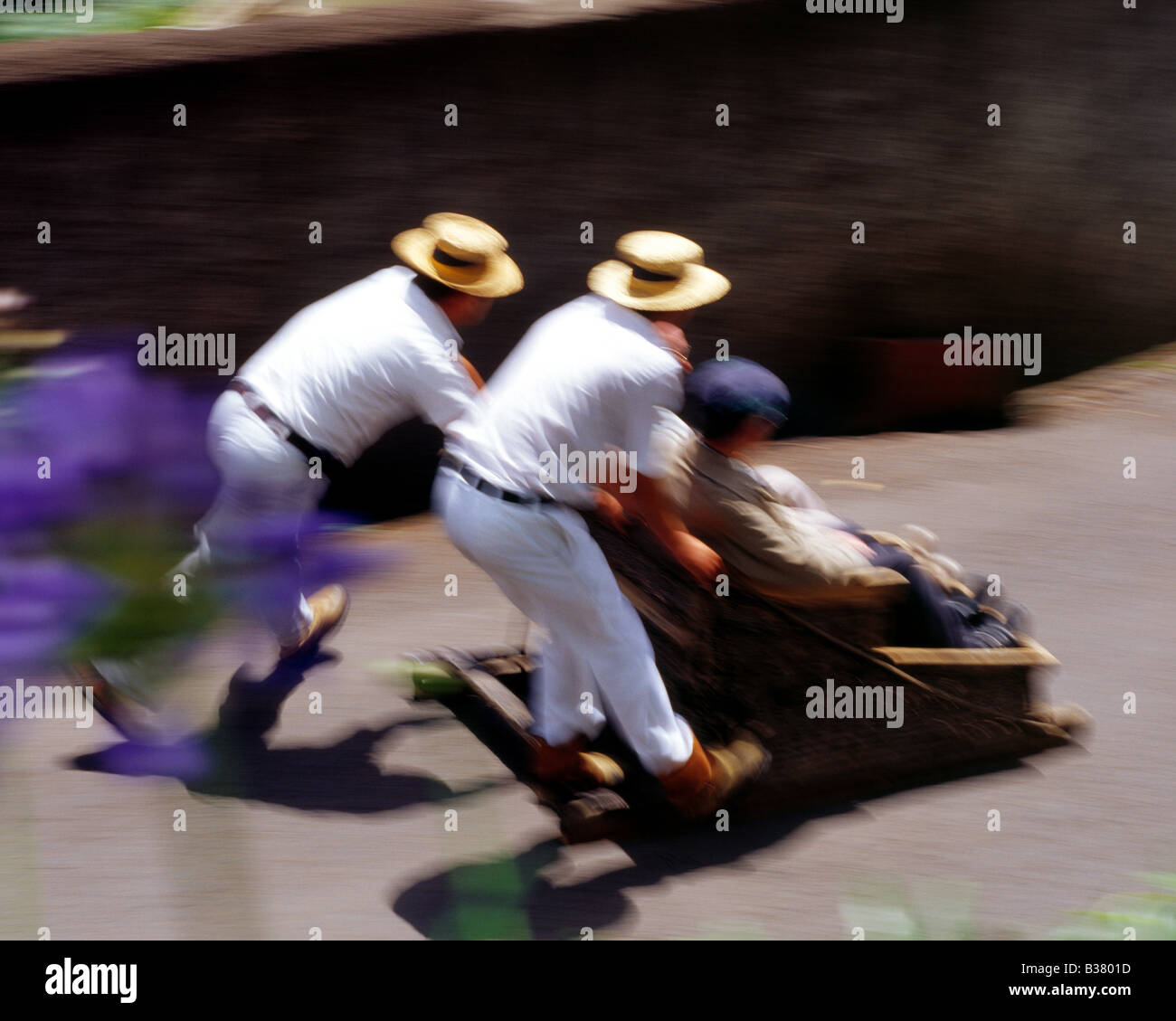 Monte, Toboggan Rides Stock Photo Alamy