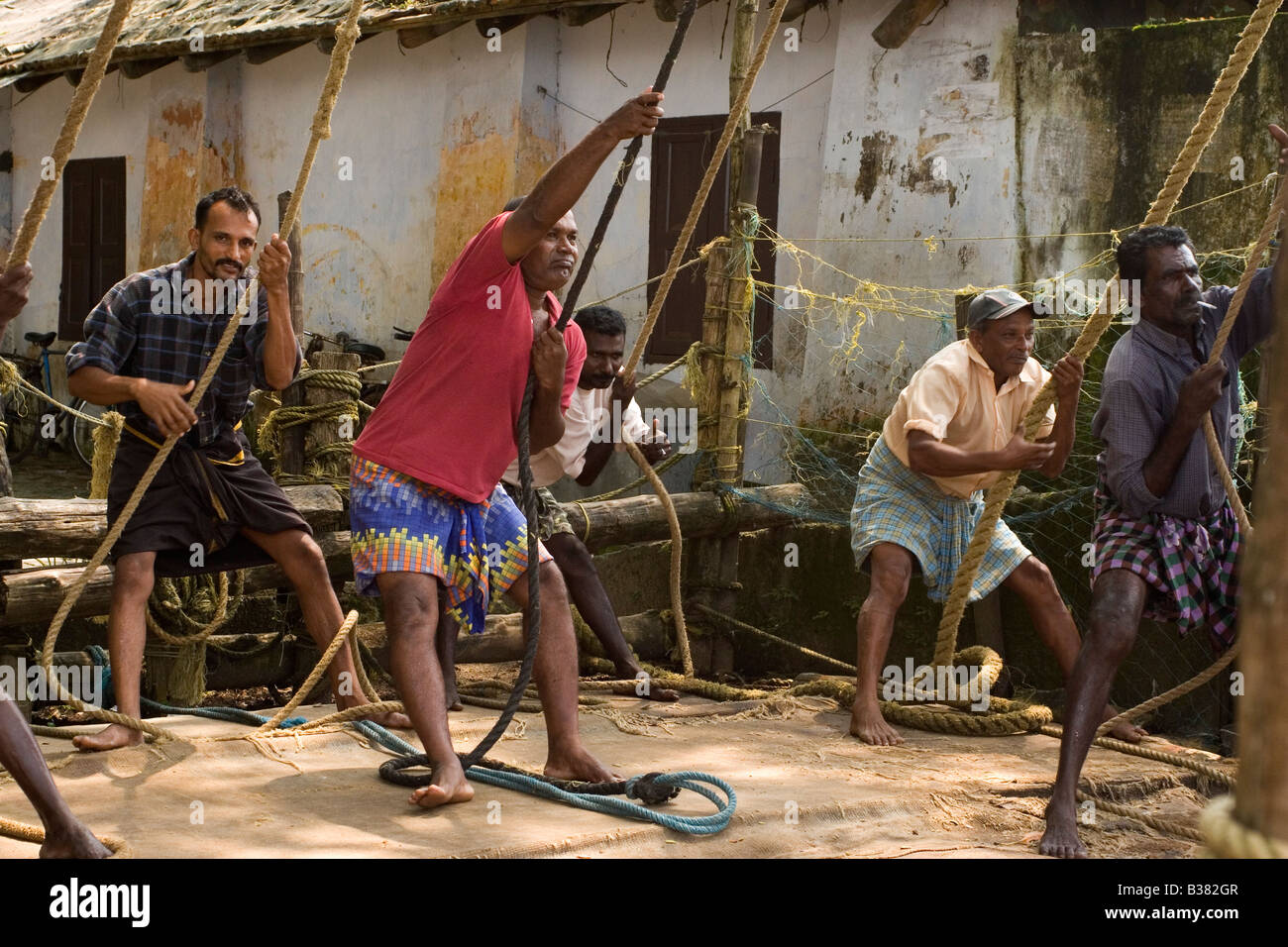 A team of fishermen pull together on ropes to raise one of the Chinese ...