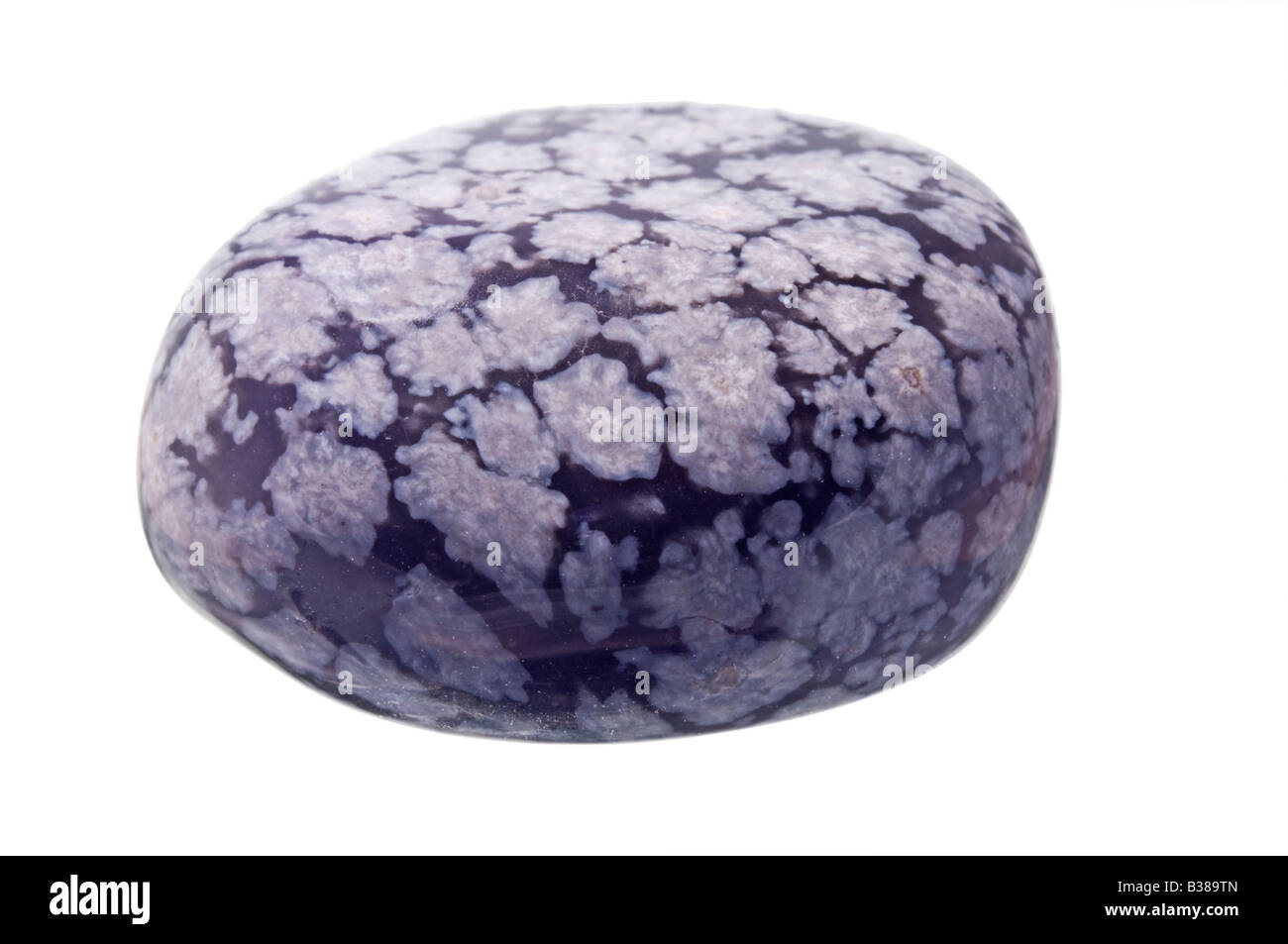 Snowflake Obsidian tumblestone Stock Photo