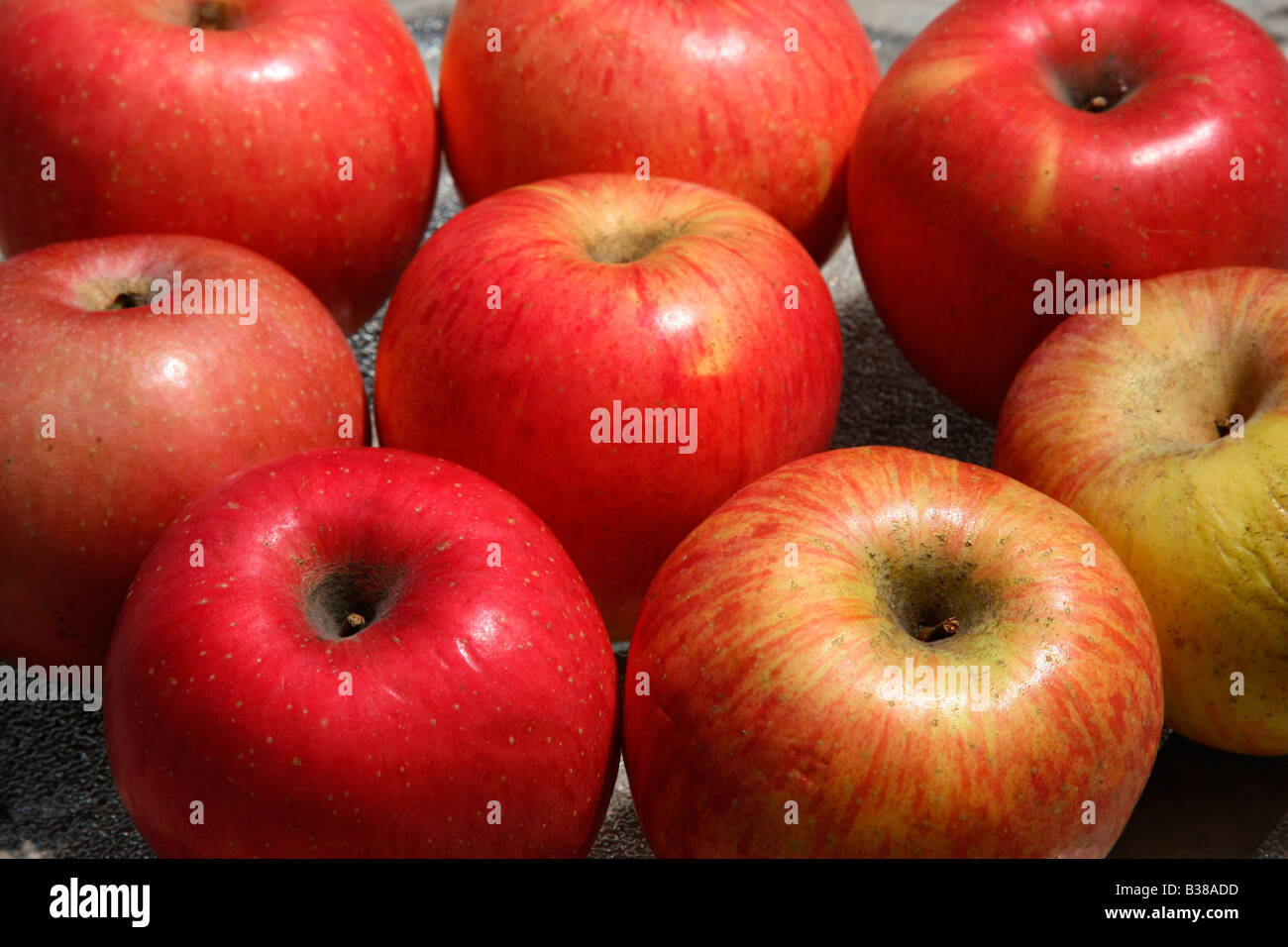 Red Apples Stock Photo