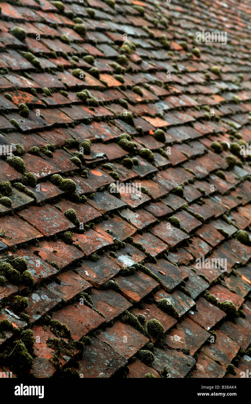 roof tradition traditional structure strong strenght tiles worn old red moss green upright uk england european roof tiles shed f Stock Photo