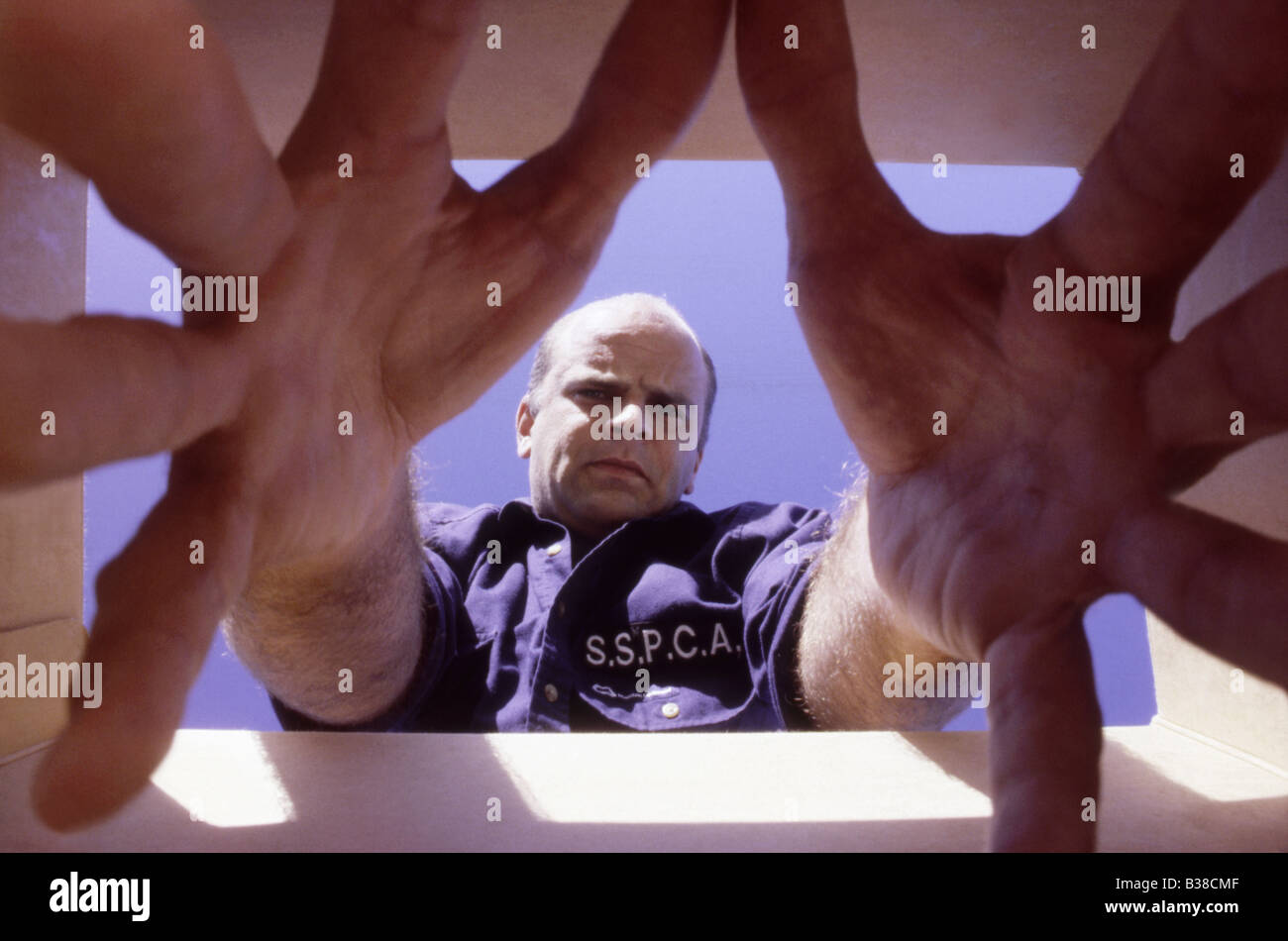 Animal welfare officer removing animal from a box (abstract view Stock