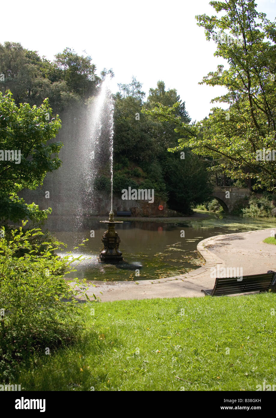 are dogs allowed in williamson park lancaster