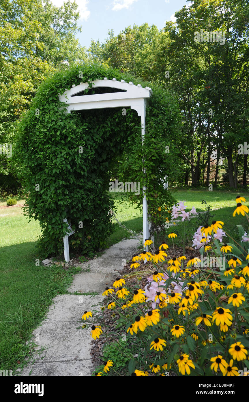 Trellis and vines in backyard path Stock Photo Alamy