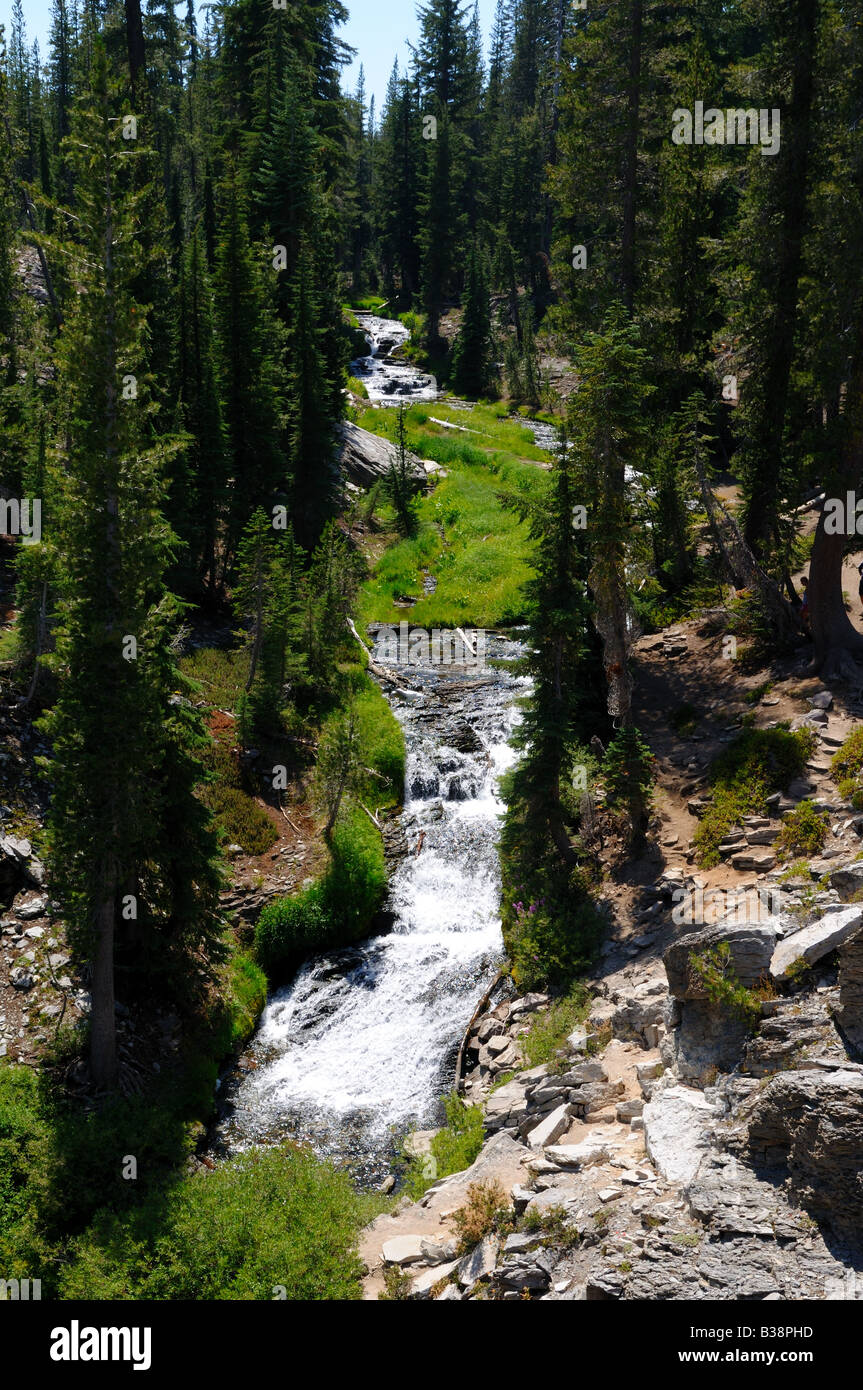 A stream cascades along a mountain trail. Lassen Volcanic National Park, California, USA. Stock Photo