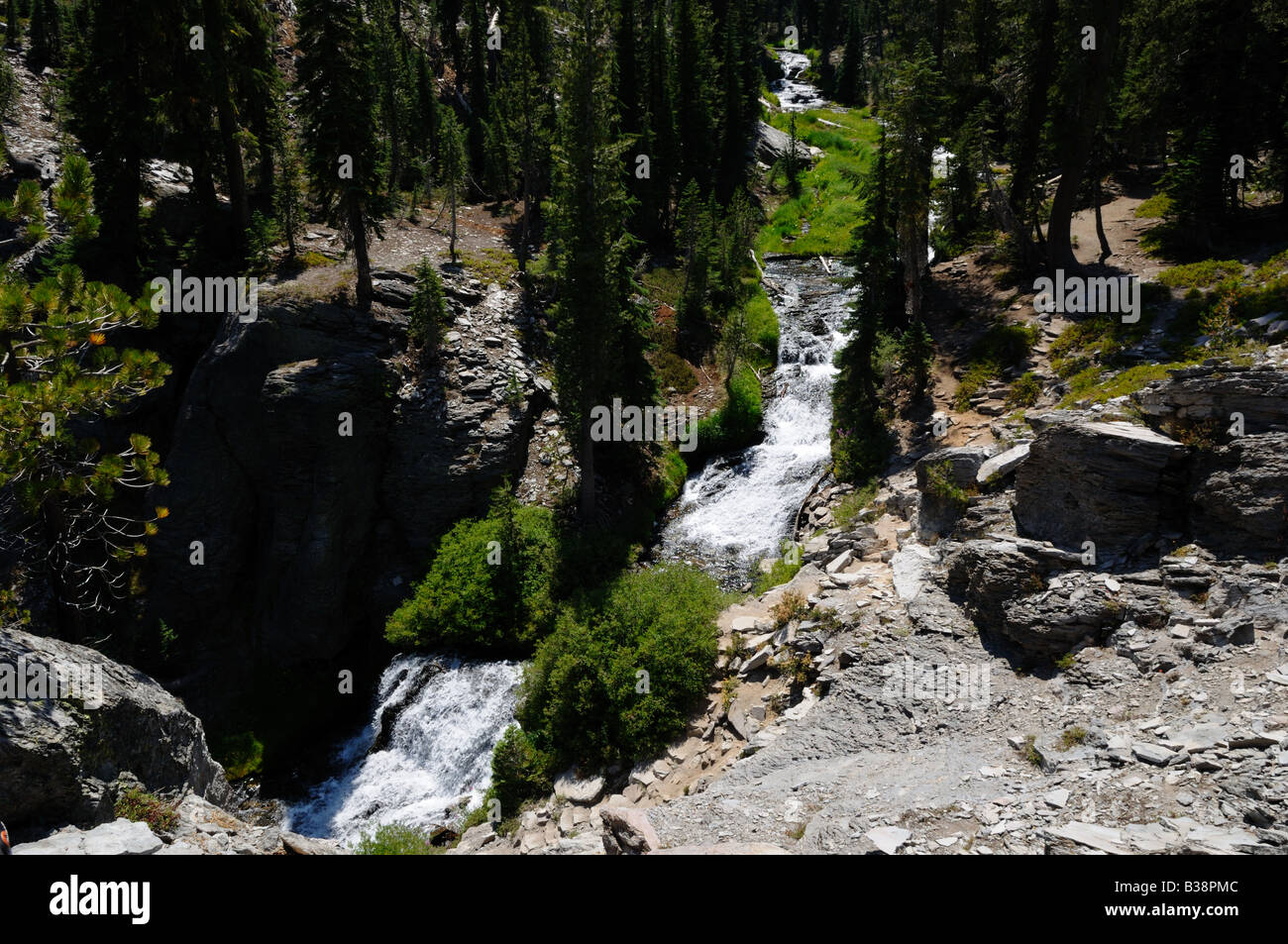 A stream cascades along a mountain trail. Lassen Volcanic National Park, California, USA. Stock Photo