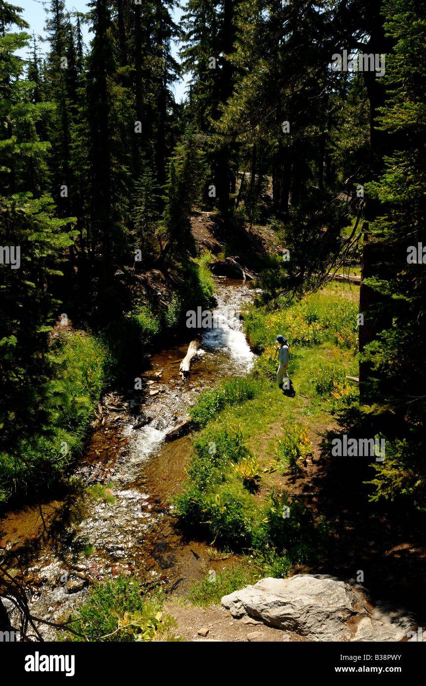 A stream cascades along a mountain trail. Lassen Volcanic National Park, California, USA. Stock Photo