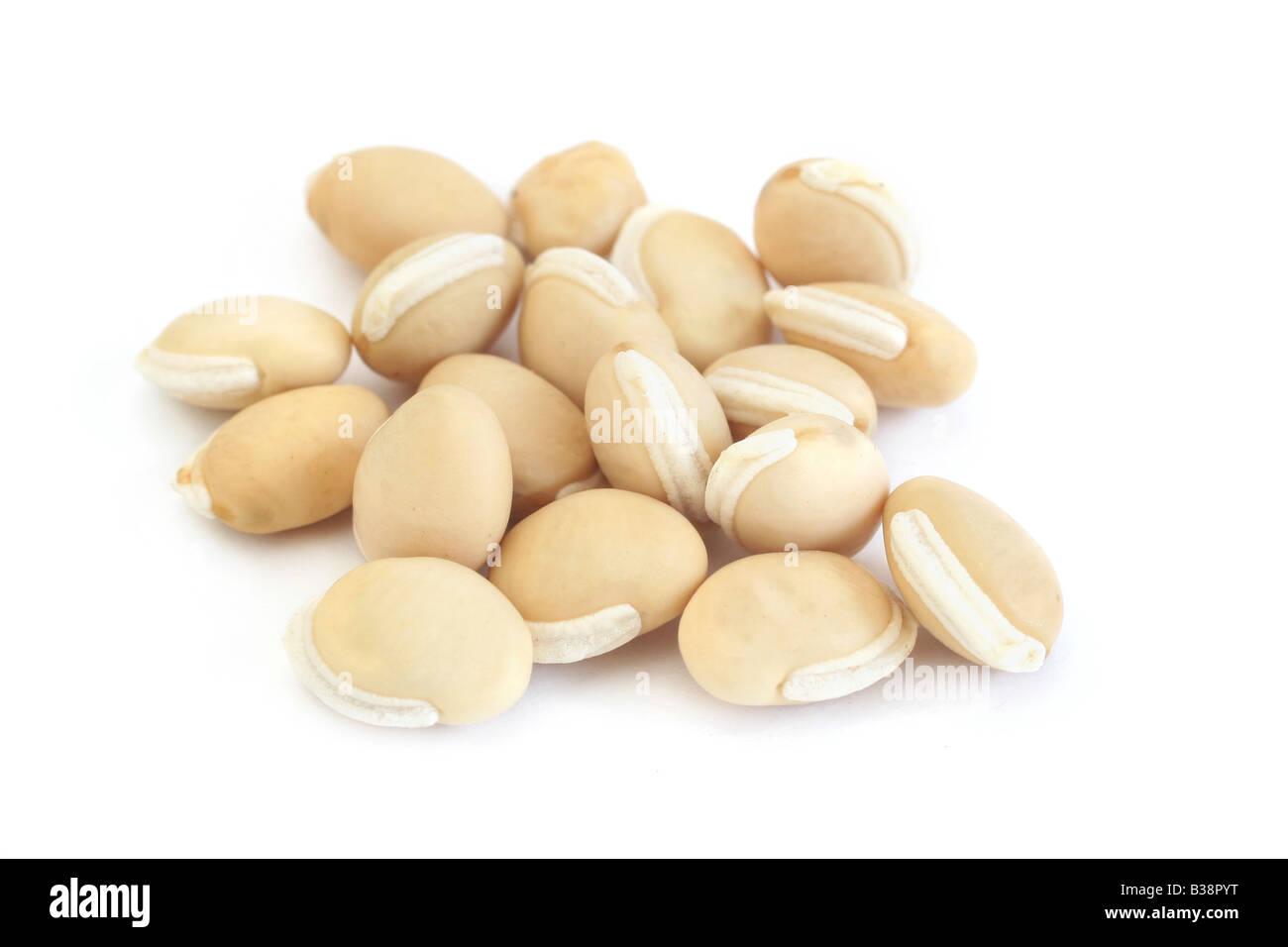 Lab lab beans (also called hyacinth beans) isolated on white background Stock Photo