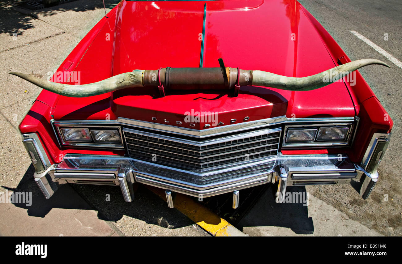 Car hood with longhorns Stock Photo