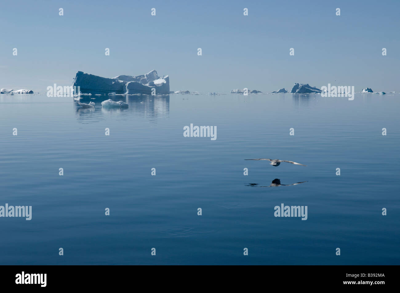 An Iceberg on Philpots Island in the Canadian Arctic melting in the sunlight. Stock Photo