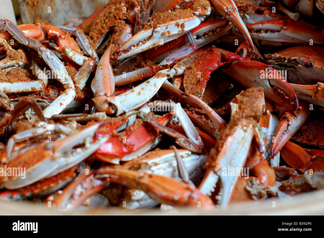 Many tasty cooked and seasoned blue crabs in a wooden bucket at