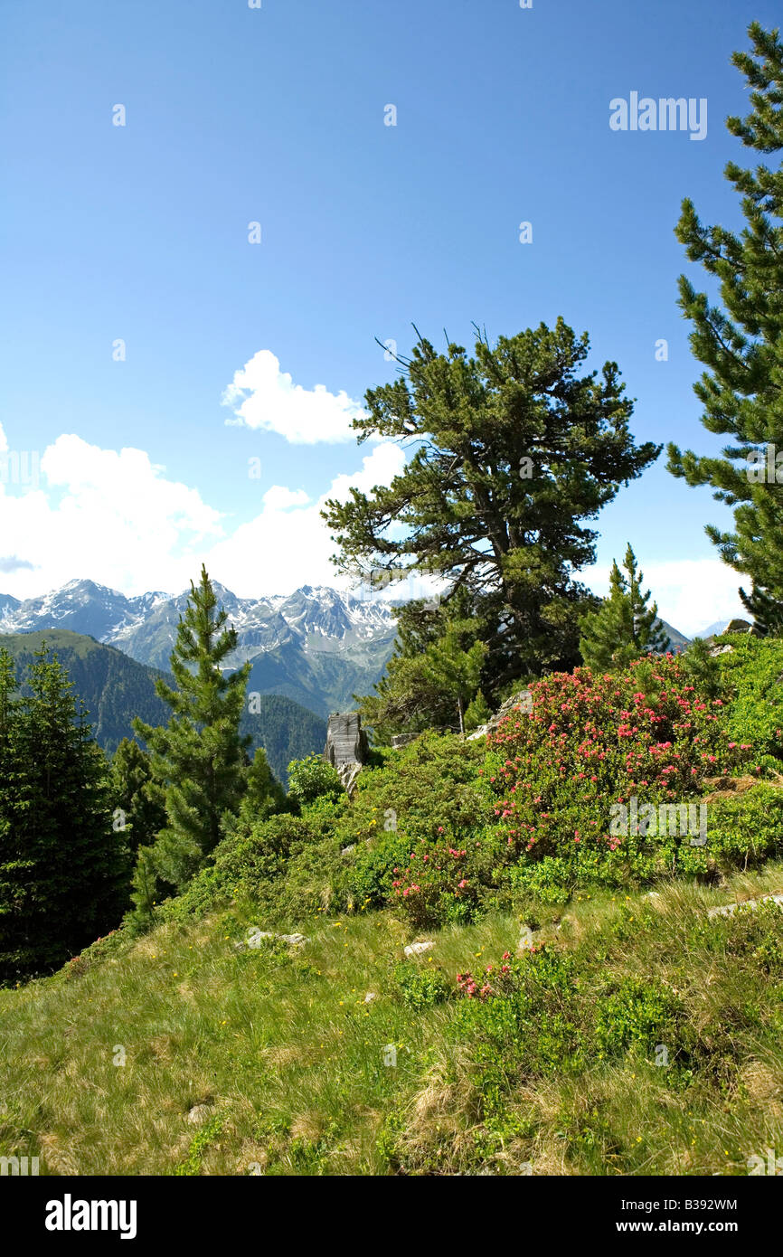 Berglandschaft im Pitztal Tirol, landscape at the Tyrol mountains Stock Photo