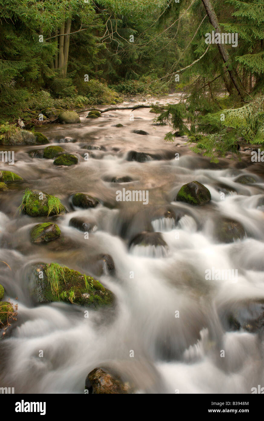 Wild creek, Ziaranka creek on Liptov, Slovakia Stock Photo