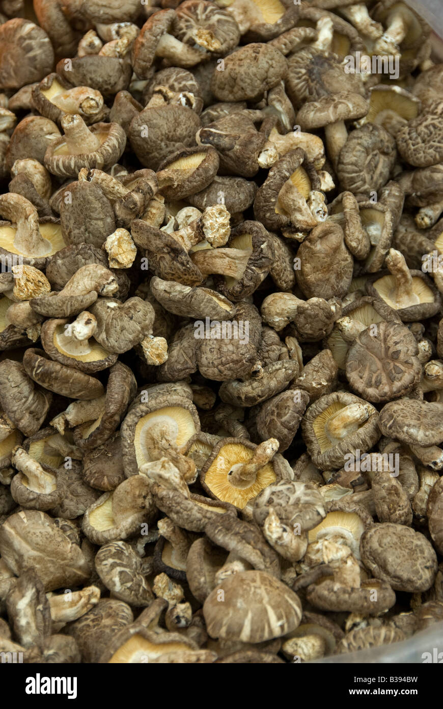 Dried mushrooms for sale in Chinese herbal medicine market Hong Kong, China Stock Photo Alamy