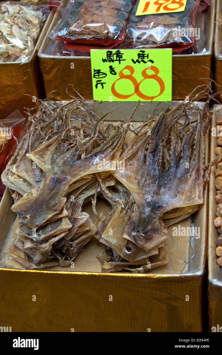 Dried squid in Chinese herbal medicine shop.Hong Kong China Stock Photo