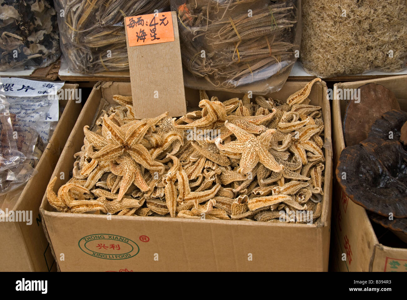 Dried starfish for sale in Chinese herbal medicine market. Hong Kong China Stock Photo