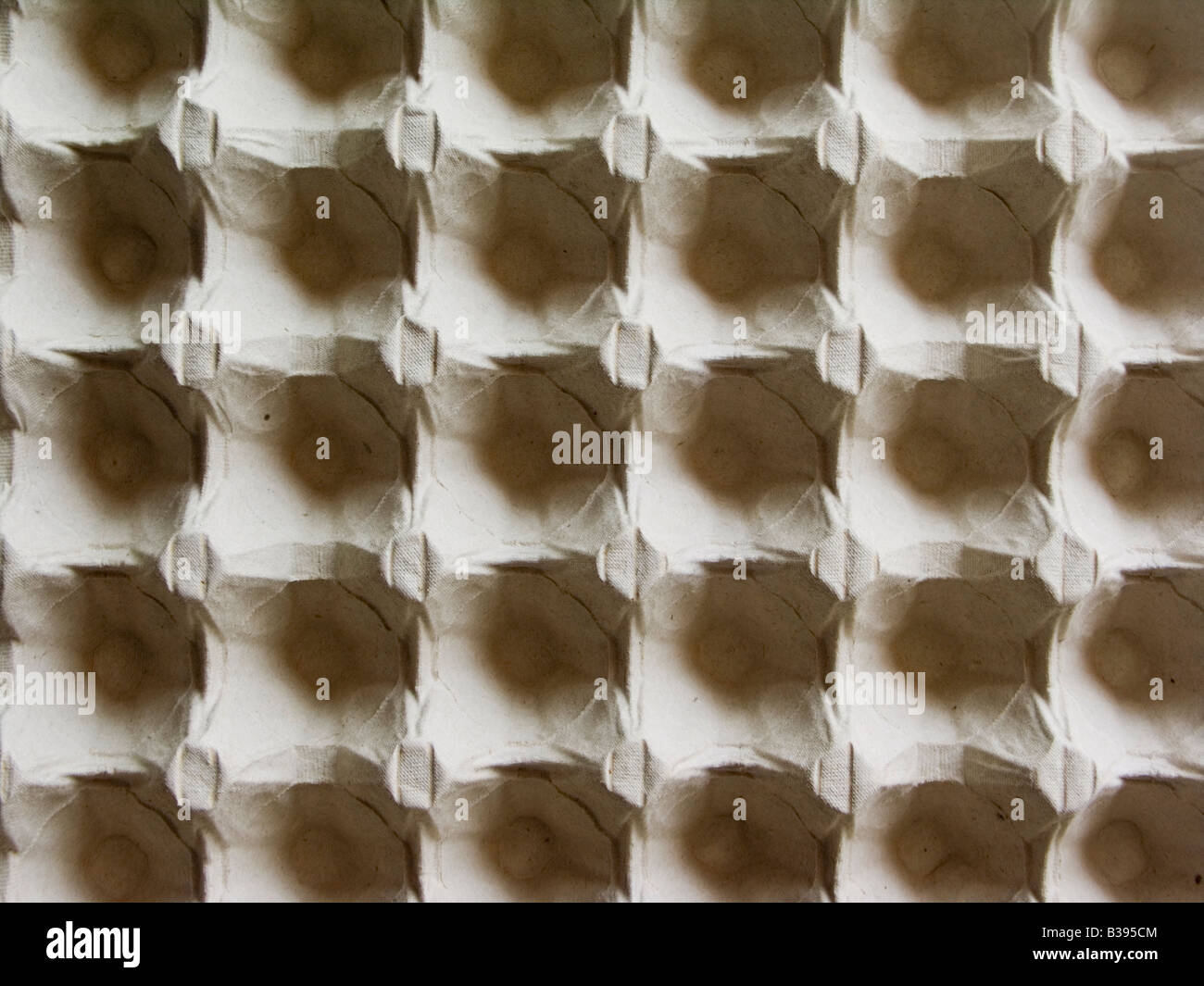 empty egg box Stock Photo Alamy