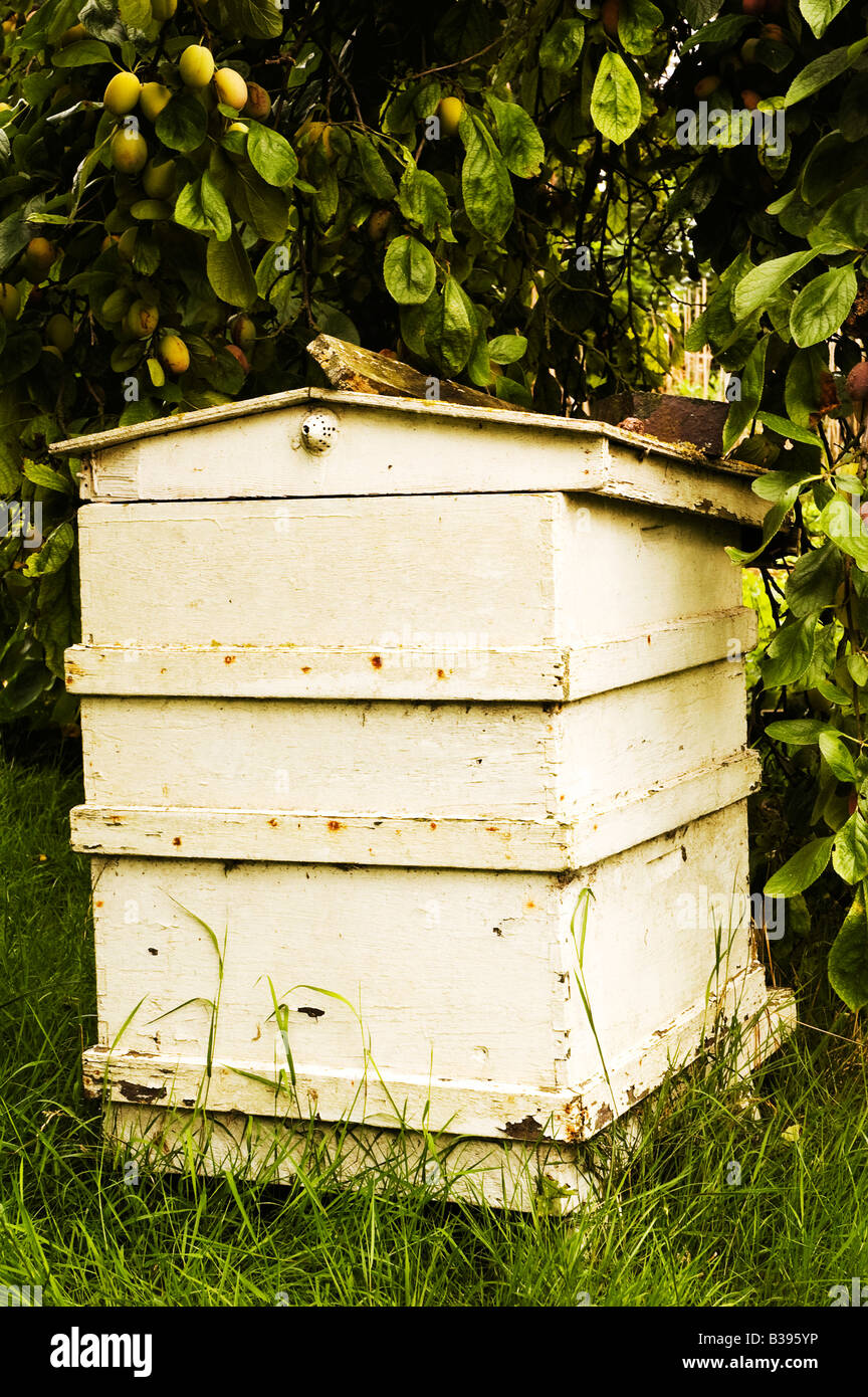 The bee hive house hi-res stock photography and images - Alamy